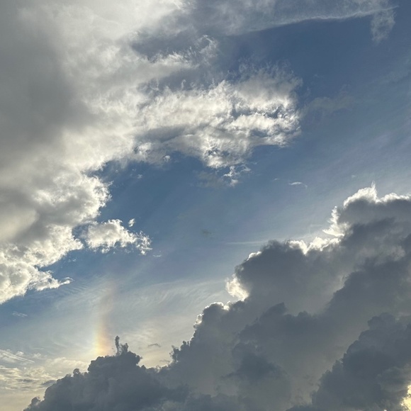 Meet your Posher, Laura - Picture 4 of 5